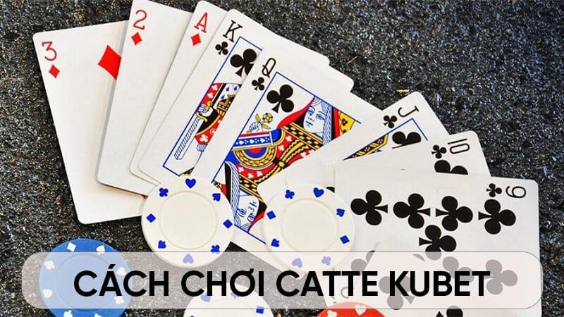 Định nghĩa bài catte và cách chơi catte kubet