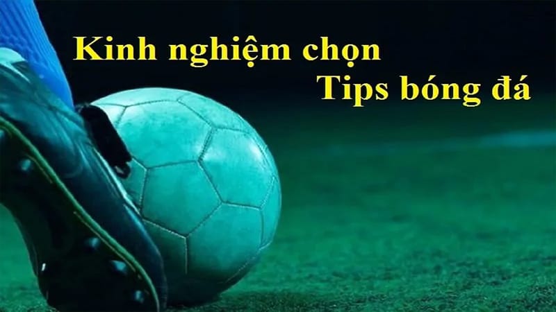 Địa chỉ uy tín để mua tips bóng đá trên thị trường ở đâu?