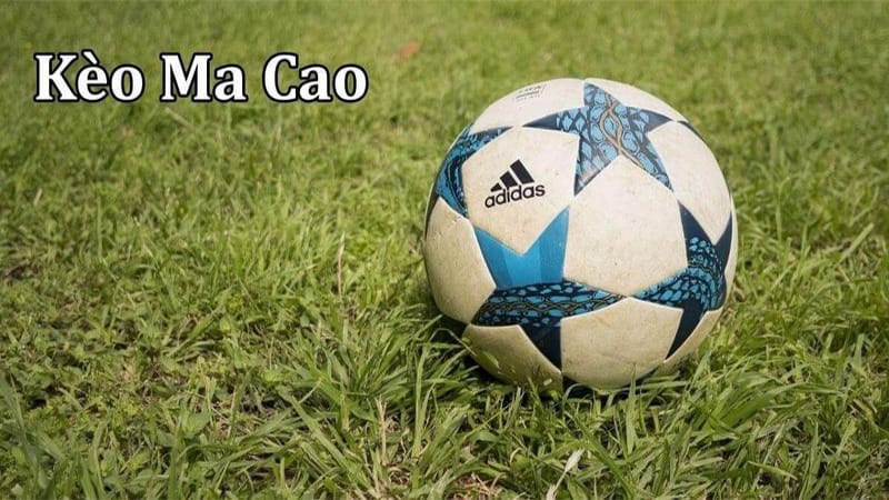 Sự khác biệt của tỷ lệ cược macau với các tỷ lệ kèo khác