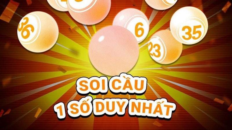 soi-cau-1-so-duy-nhat-avt