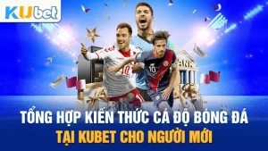 Tổng Hợp Kiến Thức Cá Độ Bóng Đá Tại Kubet Cho Người Mới